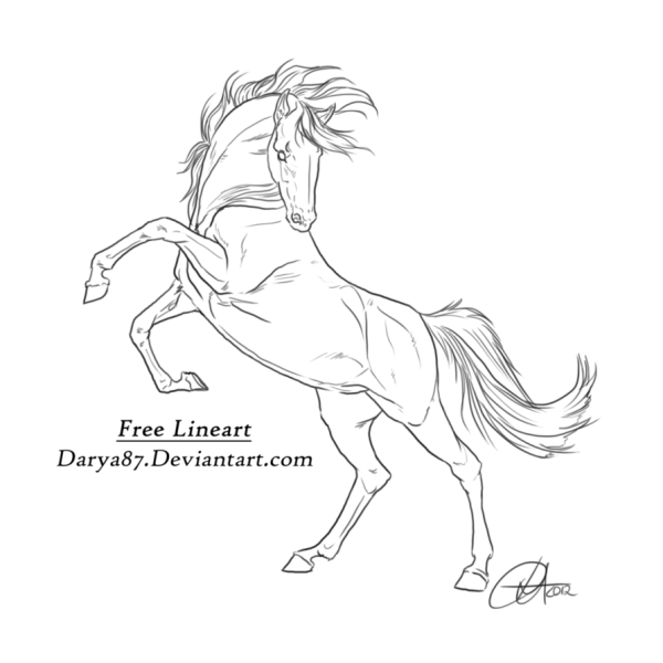 Бегущая лошадь рисунок