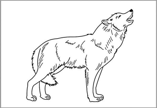 Wolf to Color