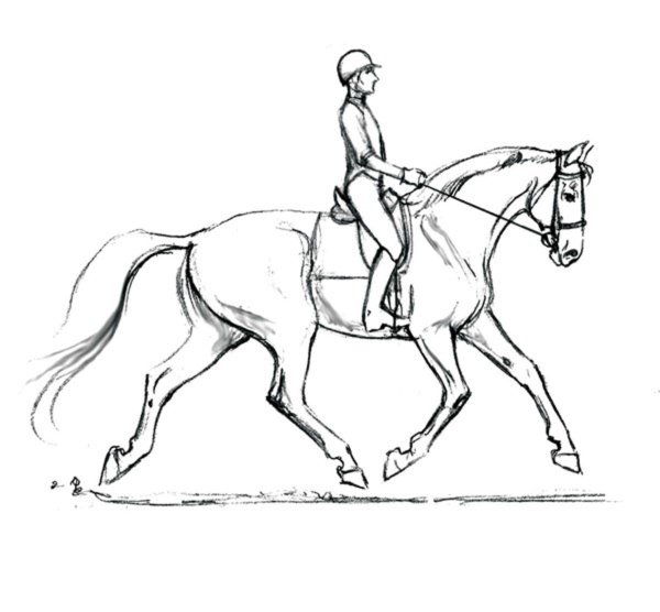 Раскраски с лошадьми: веселый и креативный способ провести время (новое обновление)