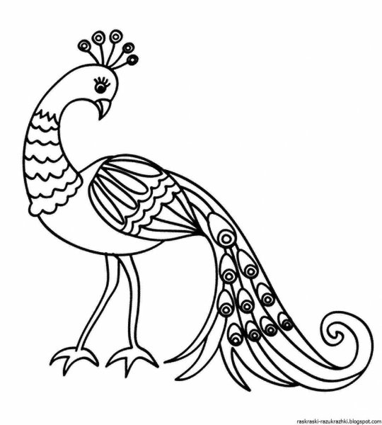 Жар птица раскраска