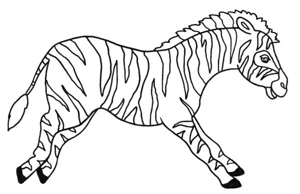 Раскраски лошадь и зебра (47 фото)