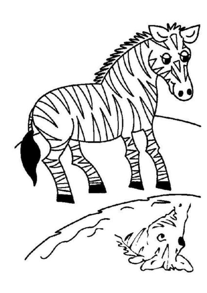 Зебра раскраска