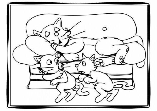 Раскраска Кошачья семья