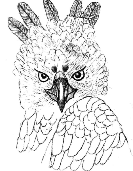 Harpy Coloring for Kids