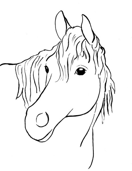 Раскраски лошадь лицо (46 фото)