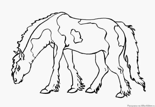 Раскраски лошадь майнкрафт (47 фото)