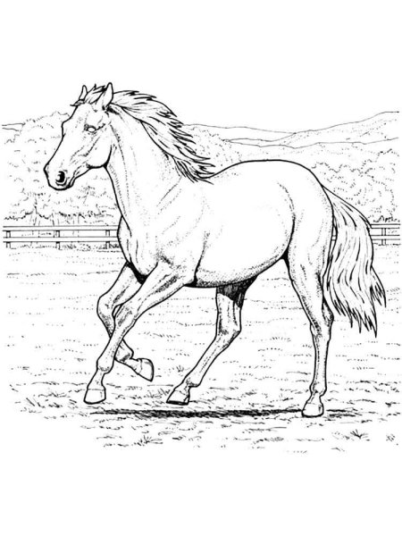 Раскраски голубая лошадь (45 фото)