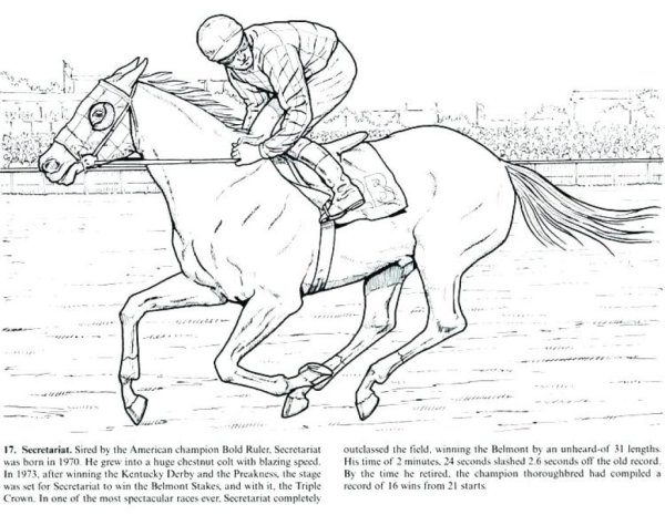 Раскраски гонки на лошадях (40 фото)