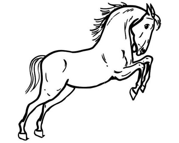 Раскраски лошадь на белом фоне (45 фото)