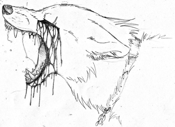 Раскраски грустный волк (48 фото)