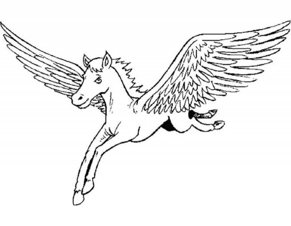 Пегас раскраска