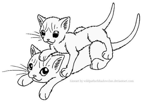 Кошечки раскраска двойные