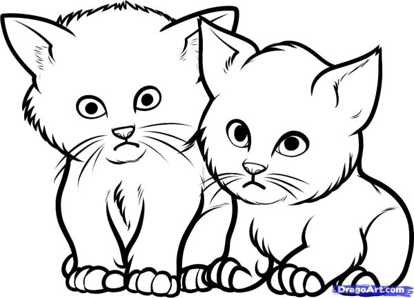 Котенок рисунок