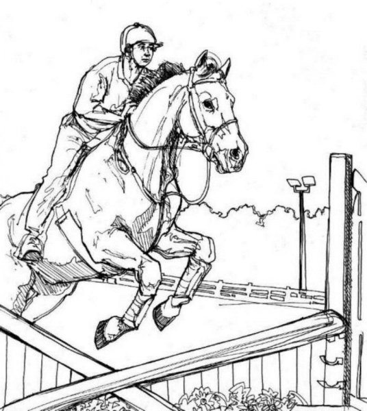 Раскраски лошадь прыгает через барьер (40 фото)