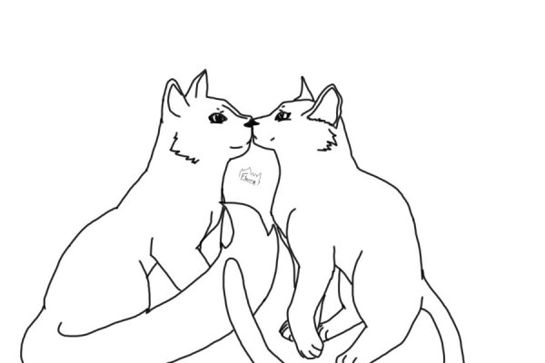 Раскраска две кошки