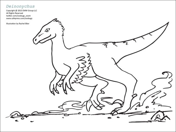 Раскраски дейноних динозавр (46 фото)