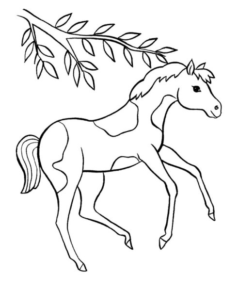 Раскраска конь