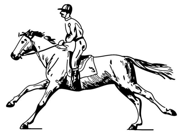 Лошади и наездники. Лист № 1. Гравюра (начало XIX века), Нидерланды