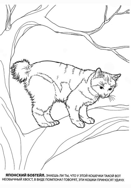 Кошка раскраска для детей