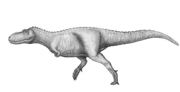 Раскраски динозавр горгозавр (47 фото)