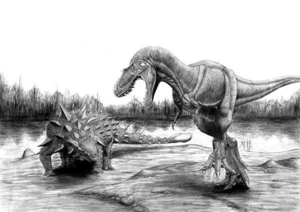 Gorgosaurus Libratus