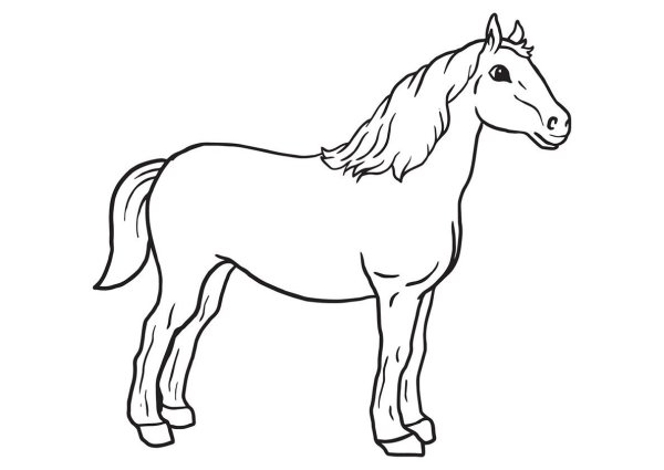 Раскраски лошадь черно белая (45 фото)