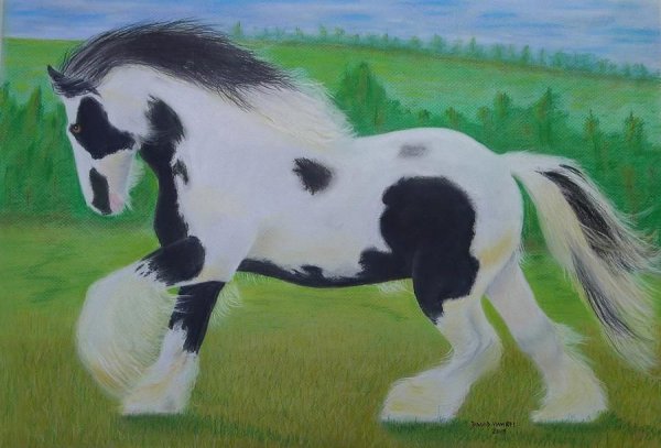 Нарисовать лошадь породы Шайр