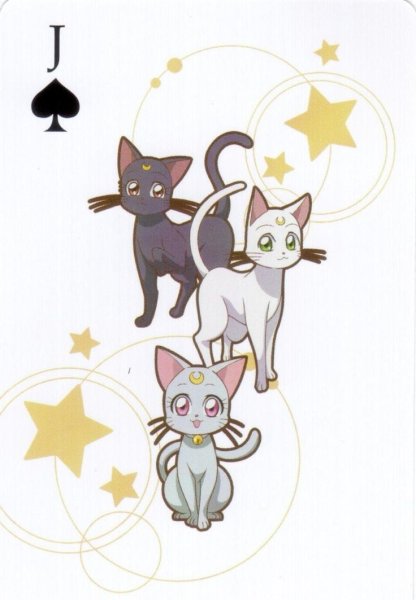Кошка Луна раскраска