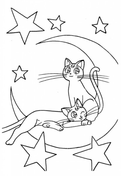 Кошка на Хэллоуин раскраска