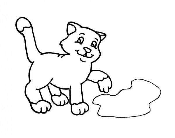 Кошки. Раскраска