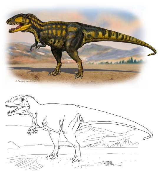 Carcharodontosaurus iguidensis