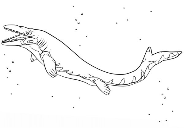 Раскраски динозавр плавает (48 фото)