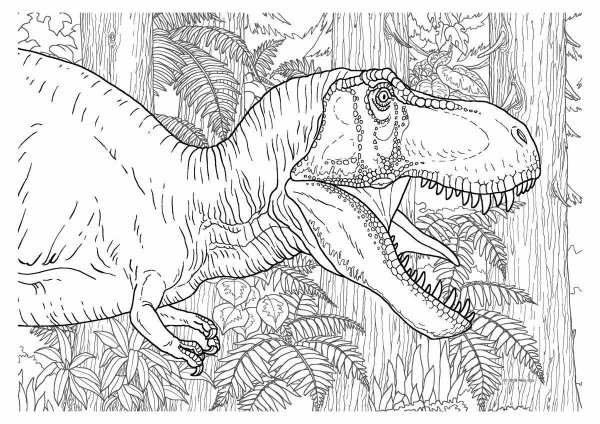 Раскраски динозавр сложная (47 фото)