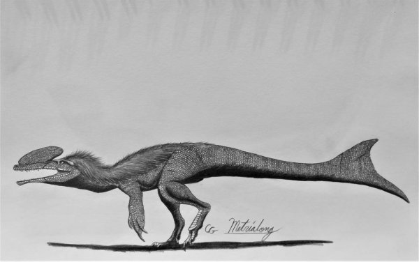 Метриоринх Jurassic World