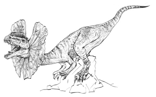 Раскраски динозавра дилофозавра (44 фото)