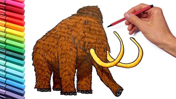 Мамонт для срисовки