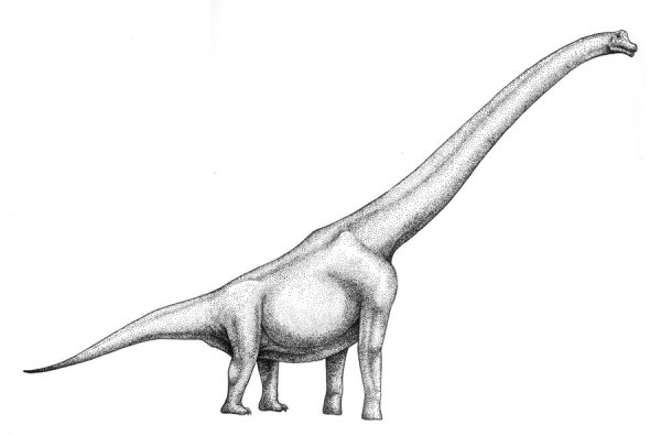 Раскраски динозавры брахиозавр (45 фото)