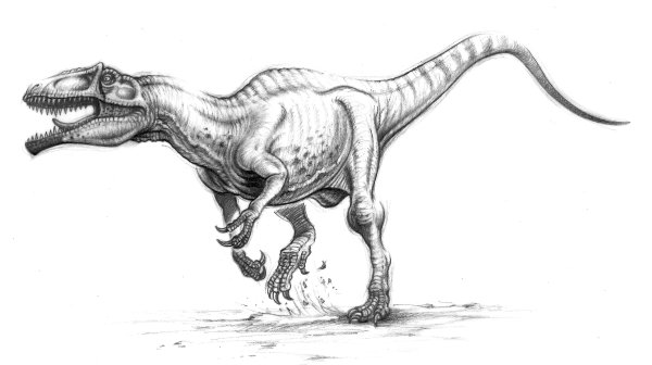 Рахиолизавр (Rahiolisaurus