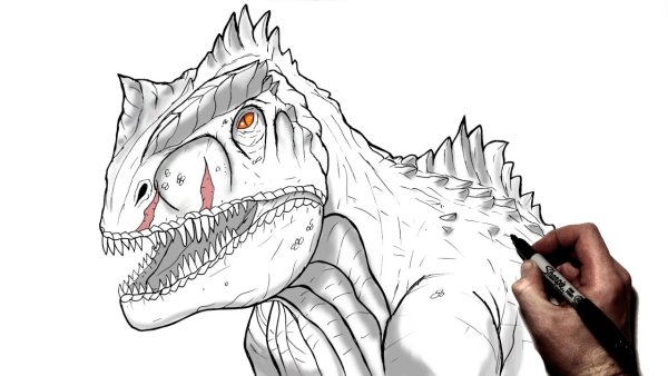 Раскраски Jurassic World Гиганотозавр