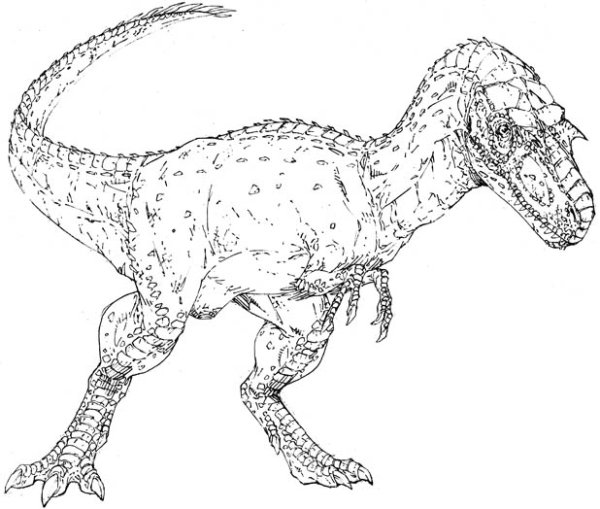Раскраски динозавры горгозавры (42 фото)