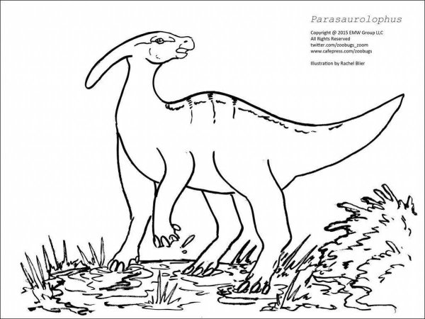 Игуанодон раскраска