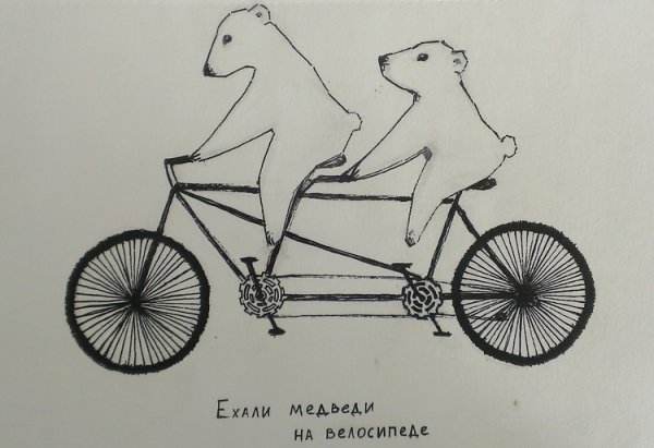 Два медведя на велосипеде