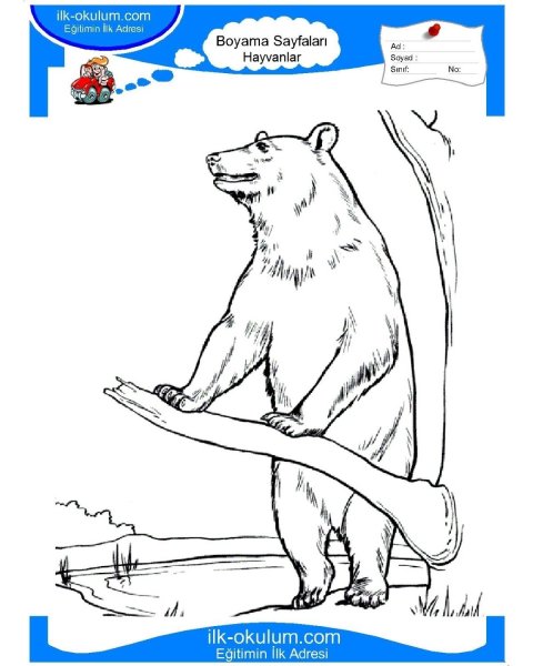 Бианки музыкант раскраска