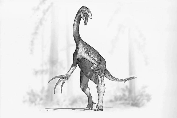 Раскраски динозавры теризинозавр (42 фото)