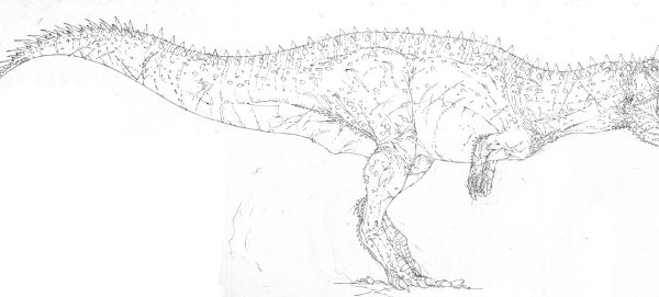 Цератозавр рисунок