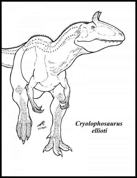 Раскраски динозавры цератозавр (47 фото)