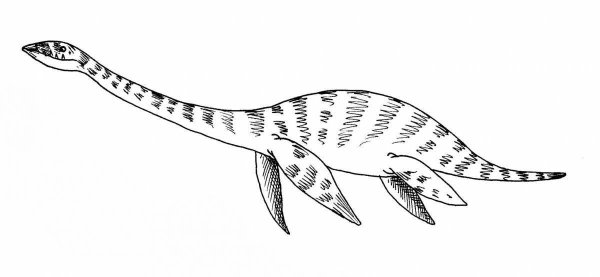 Плезиозавр рисунок