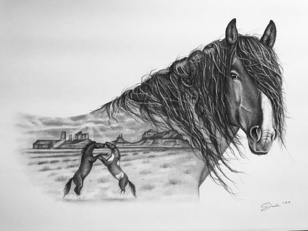 Взмыленная лошадь рисунок