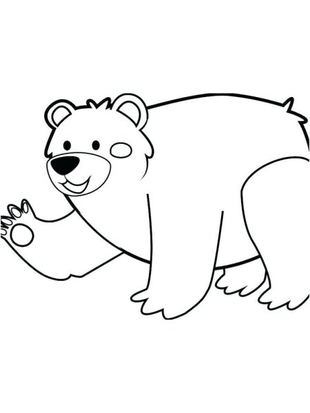 Раскраски медведь без фона (47 фото)