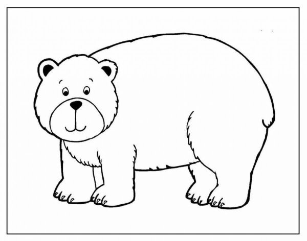 Медведь раскраска